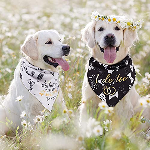 Frienda 4 Pieces Wedding Dog Bandana My Humans Are Getting Married Pet Bandana She Said Yes Dog Scarf Dog Engagement Announcement Pet Wedding Photo Prop For Dogs And Cats #TOP4