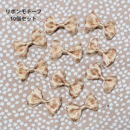 ԕx[WTeI[KW[{ {`[t 10Zbg