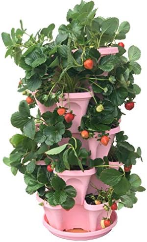 5-Tier Pink Strawberry and Herb Garden Planter - Stackable Gardening Pots with 10 Inch Saucer