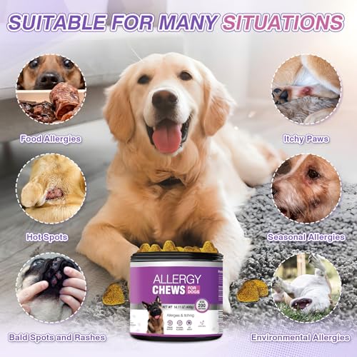 Dog Allergy Chews 200PCs – Dog Allergy and Itching Skin Relief Anti Itch Aller Immune Bites for Dogs Itching Itchy Paw Relief Itch Allergy Probiotics Support Chew Vitamins for Skin and Coat Allergies Dog Allergy Chews 200PCs – Dog Allergy and Itching Skin Relief Anti Itch Aller Immune Bites for Dogs Itching Itchy Paw Relief Itch Allergy Probiotics Support Chew Vitamins for Skin and Coat Allergies