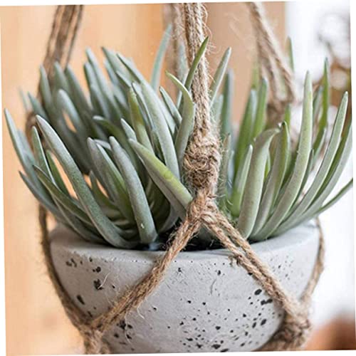 Ipetboom 3 Pecas Corda Sisal Corda Garra De Gato Cabideiro Macramê Para Plantas Arranhador De Gato S