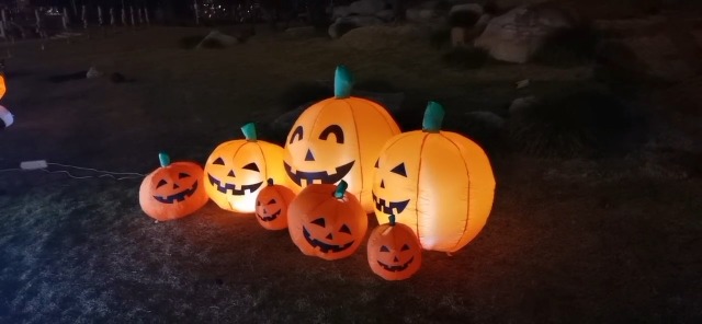 pumpkin Halloween FALL IN WILD ラブブ pumpkin Halloween FALL IN WILD ラブブ FL013+Wild+About+Fall+