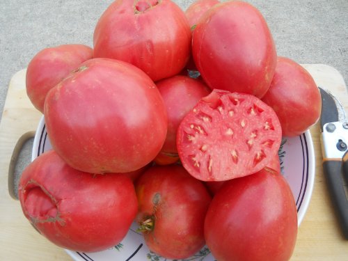 Strawberry tomato seeds image