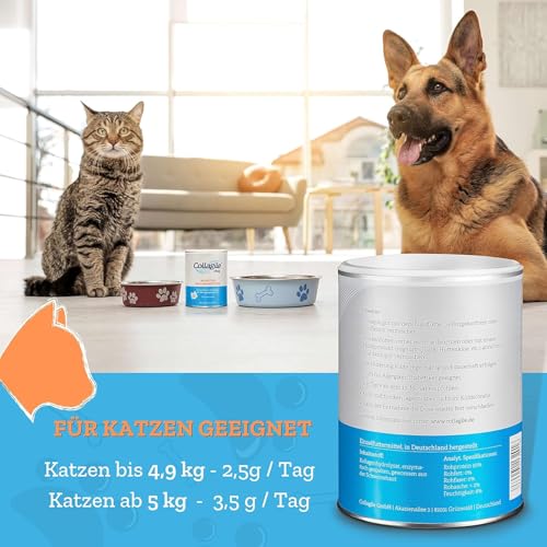 Collagile Dog 2x225g – Bioaktive Collagen Peptide für Hunde und Katzen – Nutrifunktionelles Gelenkpulver – unterstützt den gesamten Bewegungsapparat – Klinisch in Studien getestet