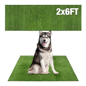 GLOBREEN Grass Pad for Dog Large Size – 2FTx6FT, Dog Potty Training Turf, Indoor Outdoor Pets Pee Fake Grass for Balcony Patio Yard