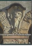 Gerichtsgebäude in Sachsen-Anhalt. Steinerne Zeugen der Justizgeschichte und Rechtskultur (Beiträge zur Denkmalkunde 12)