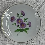 Generisch Schönes Wand-Tellerchen Wandteller mit bunten Blumen und Goldrand aus der Stadt Meißen mit rückseitiger Wandaufhängung in den Schwertern sind keine Schliffe (2057 Meisen)