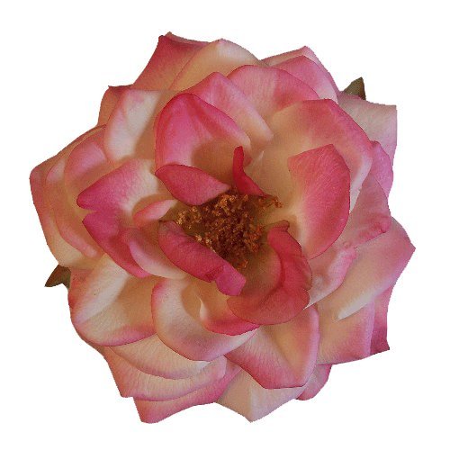 Orlane Rose Artificial Flower Hair Clip/Pin Brooch, Pink