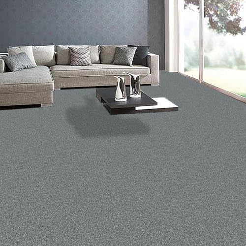 Image of FC Texture-2-Smoke-Grey Carpet Luxurious Feel Floring for Residential, Commercial Office & Home and Sound Absorbing Durable Easy Clean Low Maintenance for High Traffic Areas