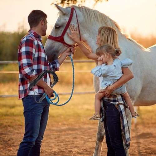 Aesnoun Horse Training Roman Whip, Equestrian Faux Leather Riding Crop, 17.7" Essential Thick Equestrian Tool Floggers Whip for Training and Riding Horses for Kentucky Derby, Preakness Stakes - Thumbnail 5