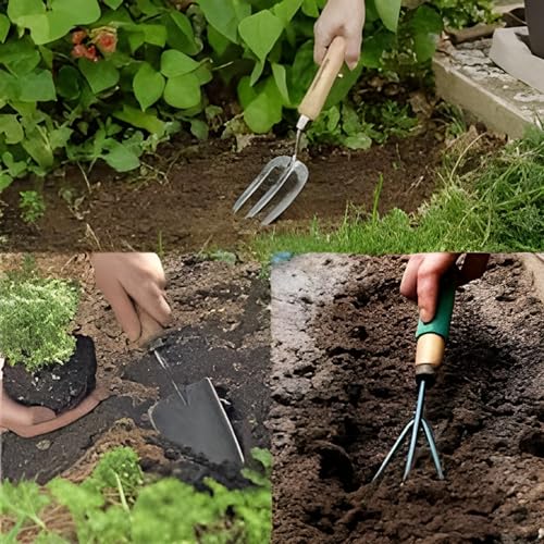 Image of Gardening Tools Kit for Home Garden - 4-Piece Set with Cultivator, Trowels, Gloves & Shovel | Essential Gardening Items for Planting, Farming & Agriculture
