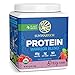 Vegan Protein Powder with BCAA | Organic Hemp Seed Protein Gluten Free Non-GMO Dairy Free Soy Sugar Free Low Carb Plant Based Protein Powder | Berry 15 SRV 375 G | Warrior Blend by Sunwarrior