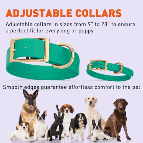 Image of Viper Biothane Heavy Duty Waterproof Dog Collar Strong Coated Nylon Webbing w /Solid Brass Hardware Odor-Proof Easy to Clean High Performance Fits Small Medium or Large Dogs, Teal