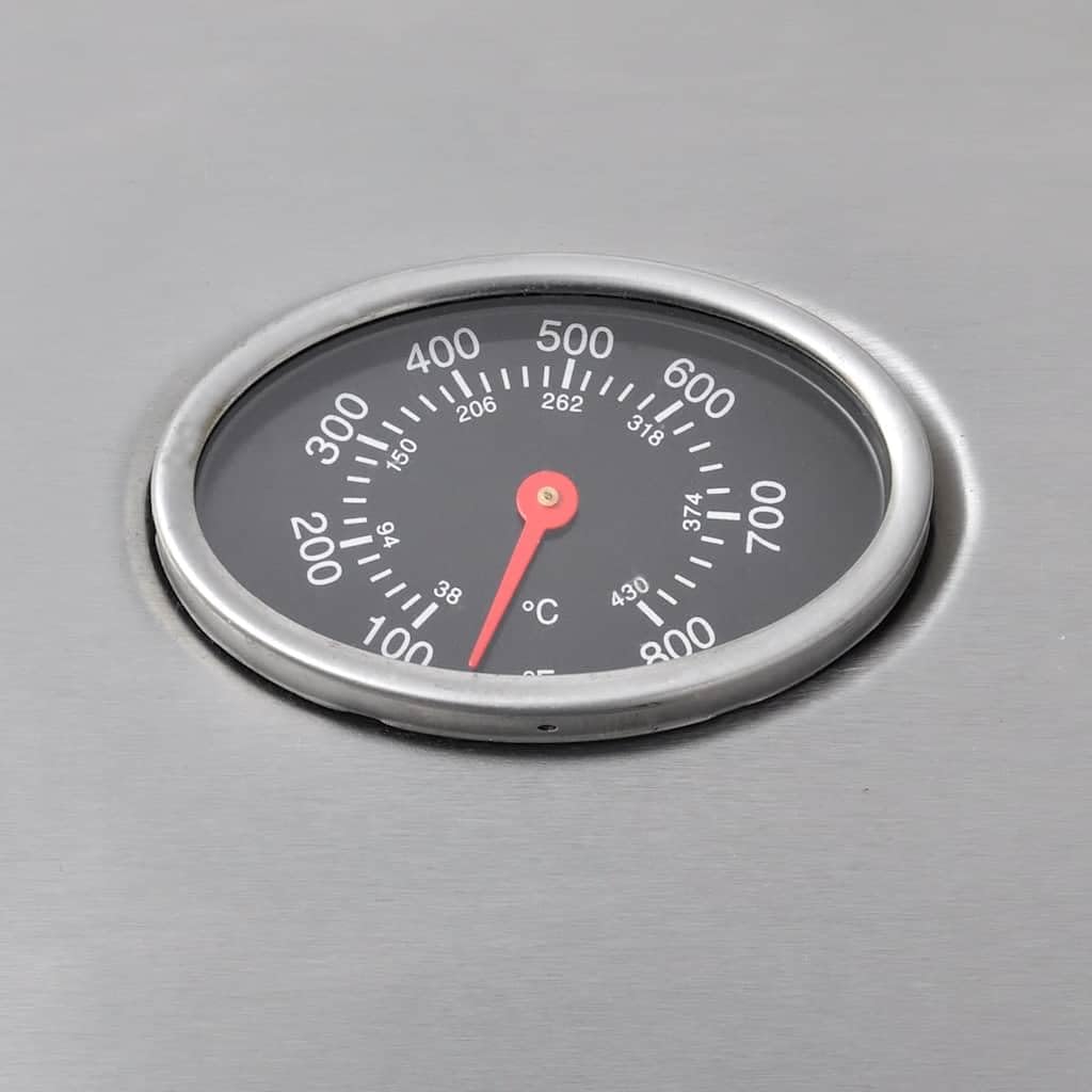 vidaXL Griglia Barbecue a Gas 4+1 Fornelli Argento