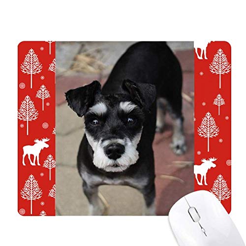 Animal de compagnie tapis de souris forêt de noël avec photo de chien noir
