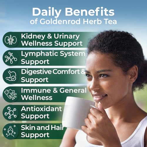 Image of 30 Bags Goldenrod Tea Herb Golden Root (Solidago virgaurea L.) - 45g Dried Golden Rod Herbs Herbal Tea