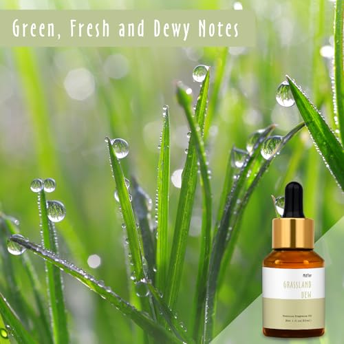 Image of MitFlor- Grassland Dew Hotel Scented Oil, 30ml Fragrance Diffuser Oil | Candle Scents for Candle Making, Soap Making Supplies, Hotel Scents for Home & Car