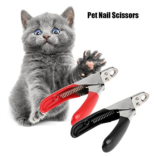 Fdit Pet Nagelschere, Cat Claw Scissors Nagelknipser Claw Clamps Praktisches Nagelschneidewerkzeug für Hunde und Katzen Pet Salon, Ideale Geschenkauswahl (Schwarz)