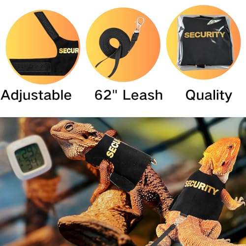 Conjunto de roupas de lagartos de dragão barbudo com coleira para animais de estimação pequenos, rép
