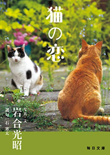 オライリー 無料電子書籍 猫の恋(毎日文庫) バイ