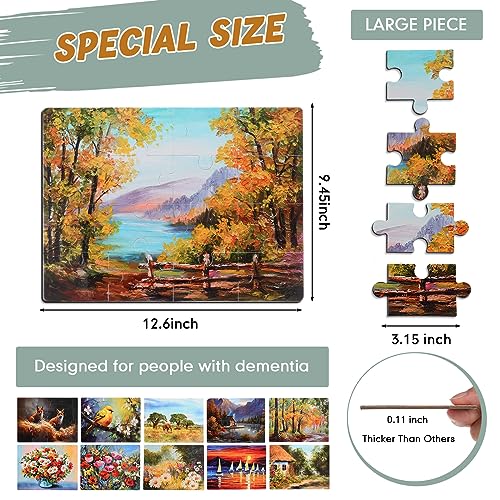 Hiboom HIBOOM-SENSORY MOTOR AIDS-GFDG563 10 Pack 16 Piece Jigsaw Dementia Puzzles thumb #1