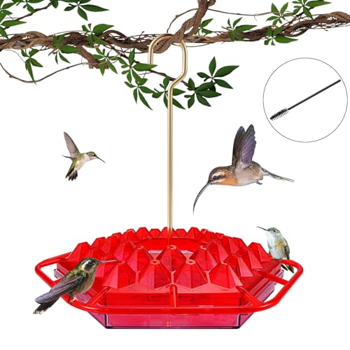 sheheme 30-Port Honeycomb Feeder