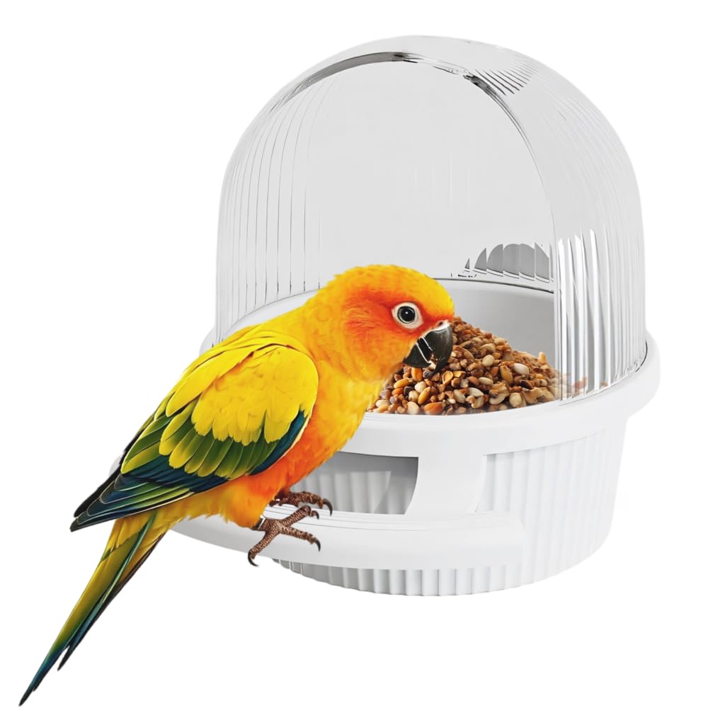 No Mess Bird Feeder