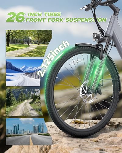 Electric Bike for Adults, 1200W Peak Commuter Ebike with 48V