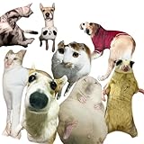 Darzheoy Customized Ugly Pet Pillows, Funny Pillow for Women Men, Custom Photo Pillow Gifts, Personalized Pet Pillow Shaped Looks Like Your Dog Cat Picture (Ugly Style, 11.8 inch)