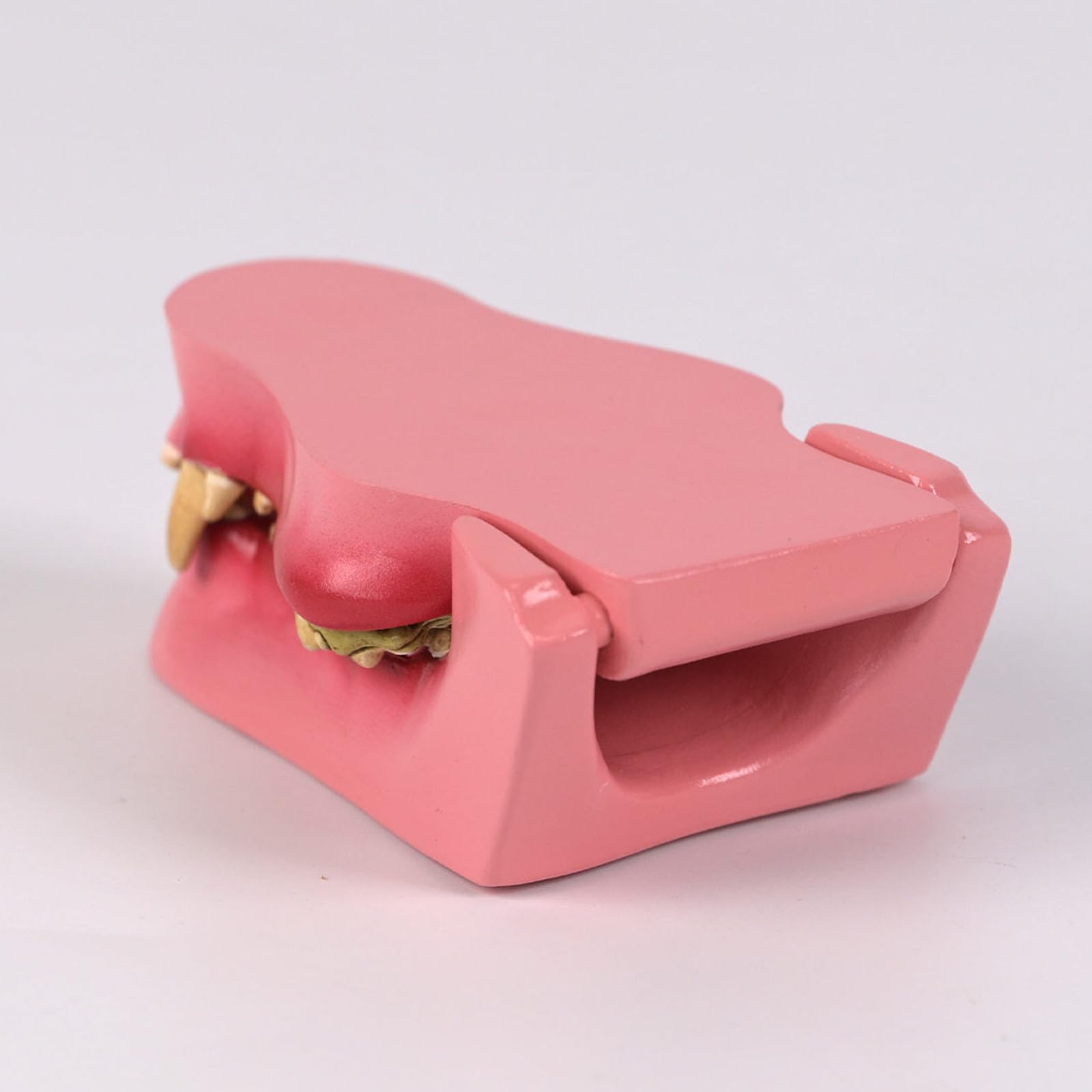 Modello per addestramento dei denti del cane per l'addestramento veterinario, la cura degli animali domestici e l'uso domestico in PVC, lezione veterinaria dei denti taglienti dei cani