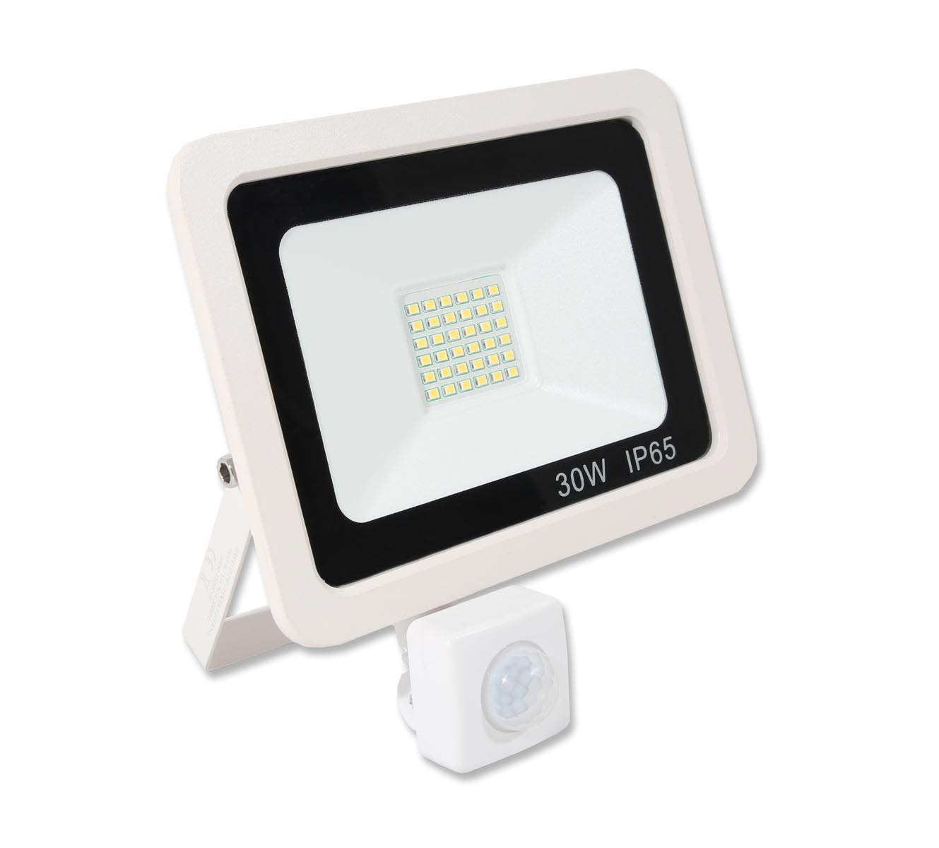 LED FloodLight Waterproof IP65 (30w PIR, White)