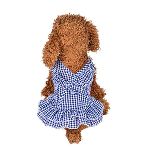Beihaoer - Vestido de tutú para cachorro con lazo de princesa