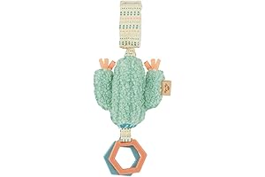 Itzy Ritzy Soothing Cactus Stroller Toy
