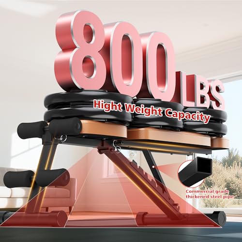 XDDIAS 10-Position Adjustable Bench