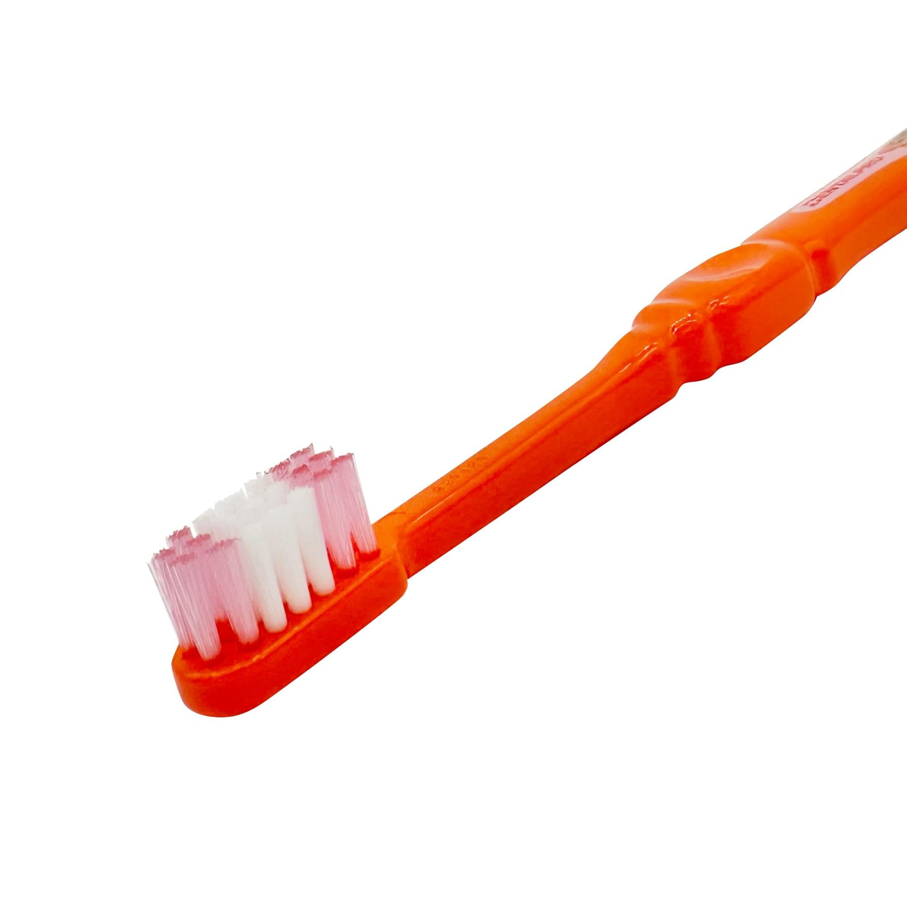 Amazon.co.jp: 【Amazon.co.jp限定】 デンタルプロ トムとジェリー