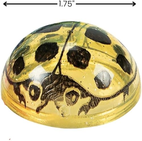 Miniatura 2 de Fun Express Juego de juguetes con purpurina de mariquita, coloridos recuerdos de fiesta emergentes para niños, ideal para fiestas de cumpleaños,