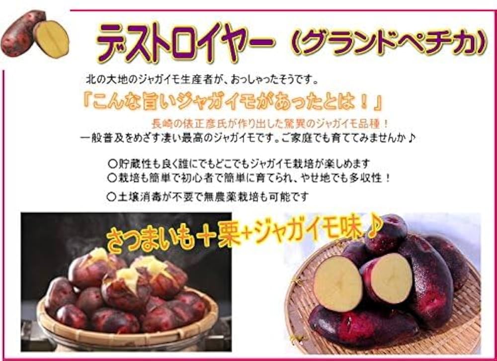Amazon.co.jp: じゃがいも グランドペチカ （デストロイヤー