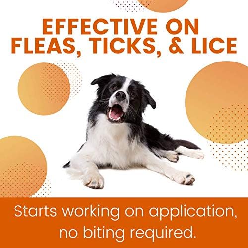 ZoGuard Plus Flea and Tick Prevention for Dogs (Small - 5-22 lb)