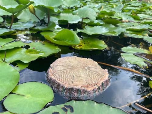 Image of AQUA KT Aquatic Turtle Round Floating Dock Tortoise Bearded Dragon Basking Platform with Suction Cup for Reptile Aquatic Aquarium Decoration