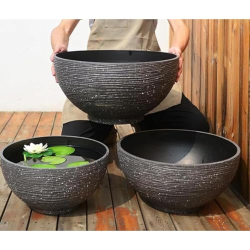 睡蓮鉢 青」の人気商品一覧 | 安い商品を通販サイトから探す - 価格.com
