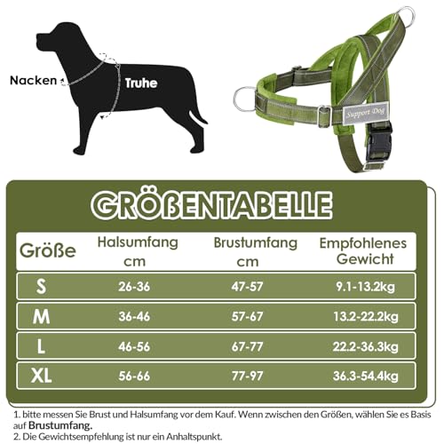 Eyein Hundegeschirr mit Leine für große mittelgroße Hunde, Weich gepolsterter Brustgeschirr mit 2 Leinenclips, Reflektierend & Leichtgewicht Anti Zug Geschirr für Spaziergänge Training, Grün, XL