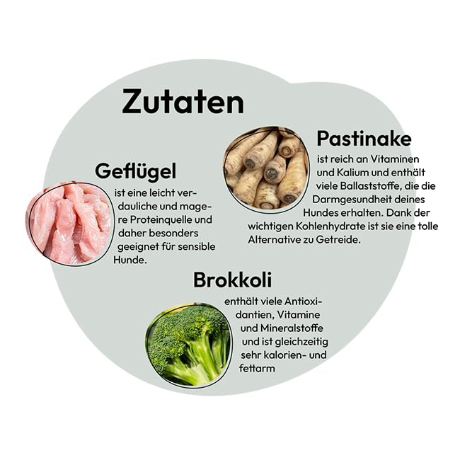 Grau – das Original – Nassfutter für Hunde - Geflügel mit Pastinake/Brokkoli, 1er Pack (1 x 200 g)