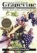 Through the Grapevine: World Tales Kids Can Read & Tell
