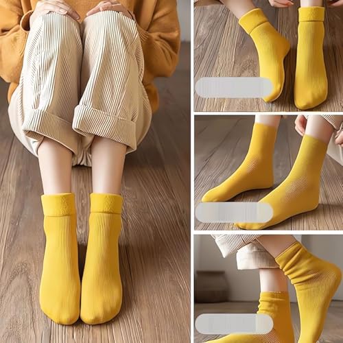AILYFIRMO Manlira Socks for Women, Ultra-Soft Velvet Slim Thermal Socks (10 Pairs B)