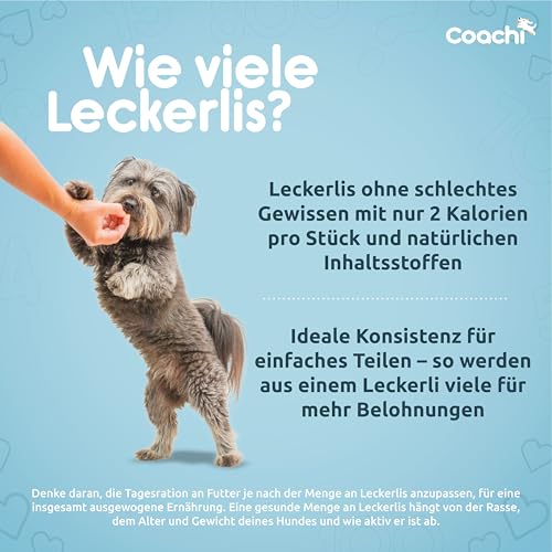 Coachi Natürliche Training-Leckerlis - Getreidefreie, Hypoallergene, Kalorienarme Hundeleckerlis. Kleine Leckerlis fürs Hundetraining. Der gesunde Snack für Hunde & Welpen 8+ Wochen(Meeresfisch, 100g)