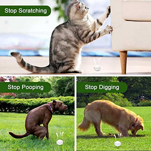 Motrapso 24 Pack Outdoor Cat Repellent & Dog Repellent Peppermint Oil To Repel Cats And Dogs From Peeing thumb #4