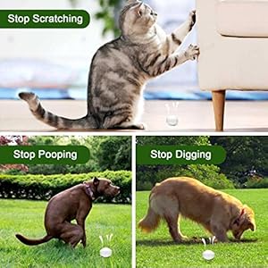 24-Pack-Outdoor-Cat-Repellent-Dog-Repellent-Peppermint-Oil-to-Repel-Cats-and-Dogs-from-Peeing-Natural-Dog-Cat-Deterrent-Keep-Cats-Dogs-Off-Lawn-Garden-Mulch-Flower-Beds-Human-Pet-Safe - Cucciolini Doodles   24-Pack-Outdoor-Cat-Repellent-Dog-Repellent-Peppermint-Oil-to-Repel-Cats-and-Dogs-from-Peeing-Natural-Dog-Cat-Deterrent-Keep-Cats-Dogs-Off-Lawn-Garden-Mulch-Flower-Beds-Human-Pet-Safe