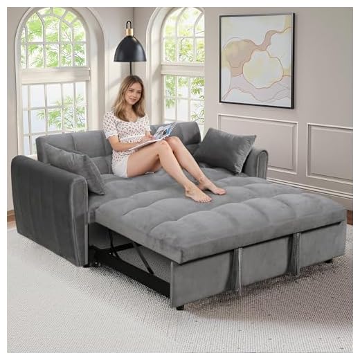 Lyngins 65 Inch Queen Size Sleeper Sofa Bed, 3 in 1 Convertible Pull Out Couch with Adjustable Back, Storage Bag and Pillow Foldable Loveseat Sofa Couch Bed for Apartment，Bedroom，Living Room, Gray