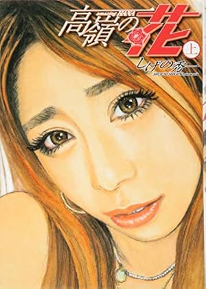 頭文字D 漫画 全巻セット+ 頭文字Dの軌跡 疾走の記 挑戦の記 全巻】イニシャルD(頭文字D) 48冊、頭文字Dの軌跡-挑戦の記/