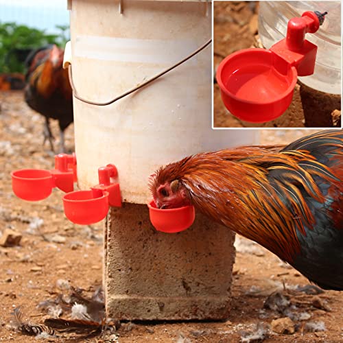 VSSAW Copos de Água para Frango, Alimentador Automático de Água para Frango de 6 Unidades, Kit de Be